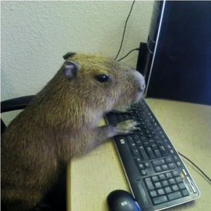 CapibaraBot