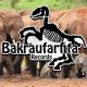 Bakraufarfita Records