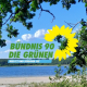 Grüne Beelitz