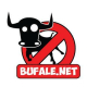 Bufale.net :verified: