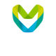 Metaverse Standards Forum