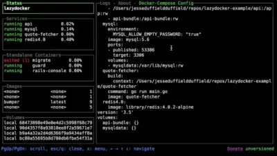 A terminal window showing the LazyDocker application open. It divides the window space into panes, one for Services running, another for standalone containers, another for docker images, and volumes, and a larger pane showing log file information.