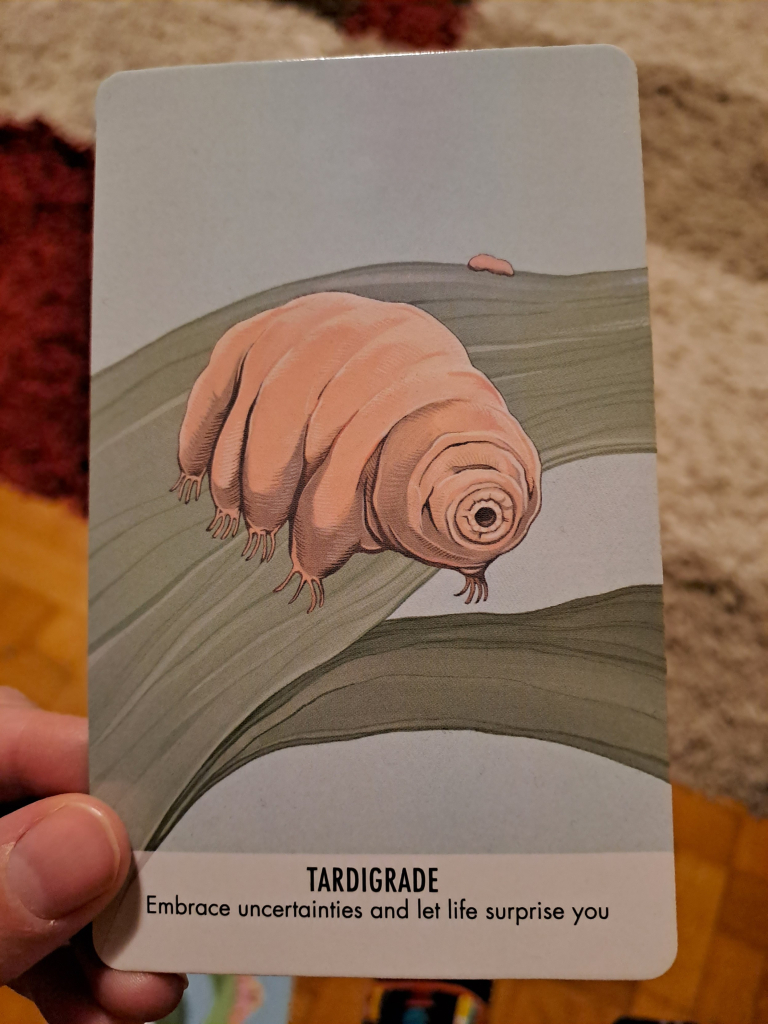 Colorful drawing of a tardigrade. Writing on the card says "tardigrade: embrace uncertainties and let life surprise you"