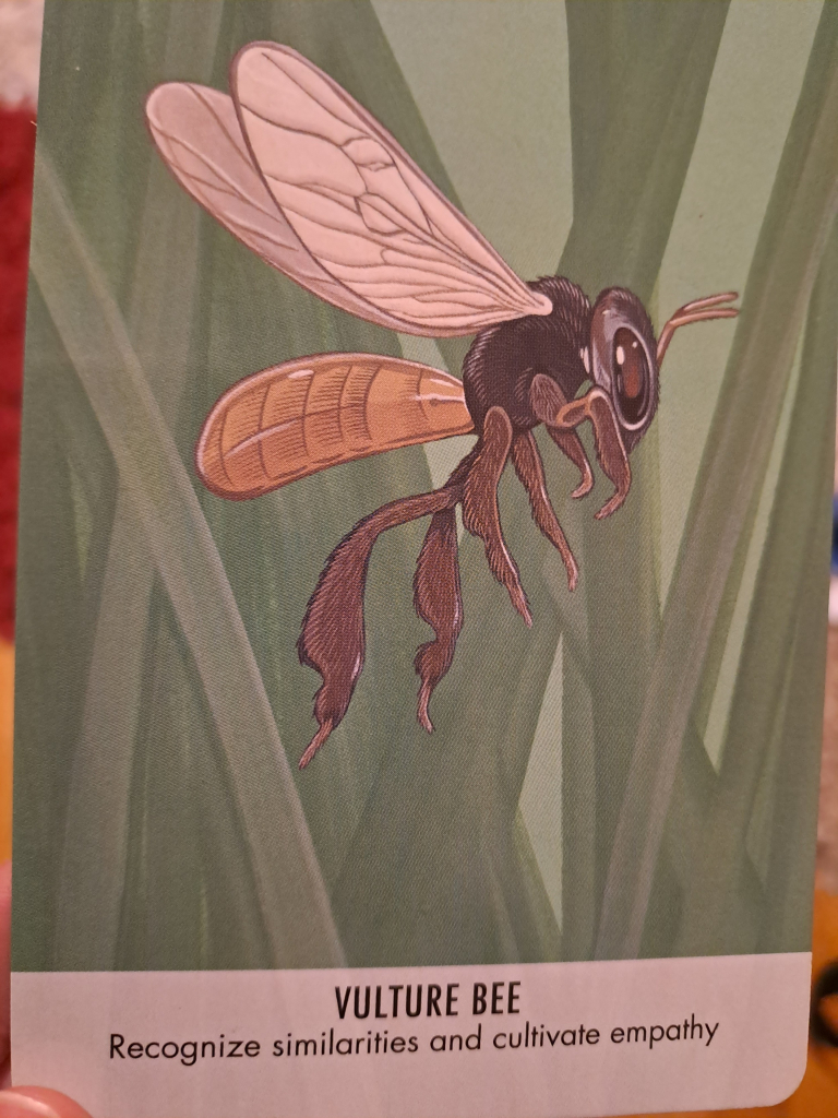 Colorful drawing of a vulture bee in flight. Writing on the card says "vulture bee: recognize similarities and cultivate empathy."