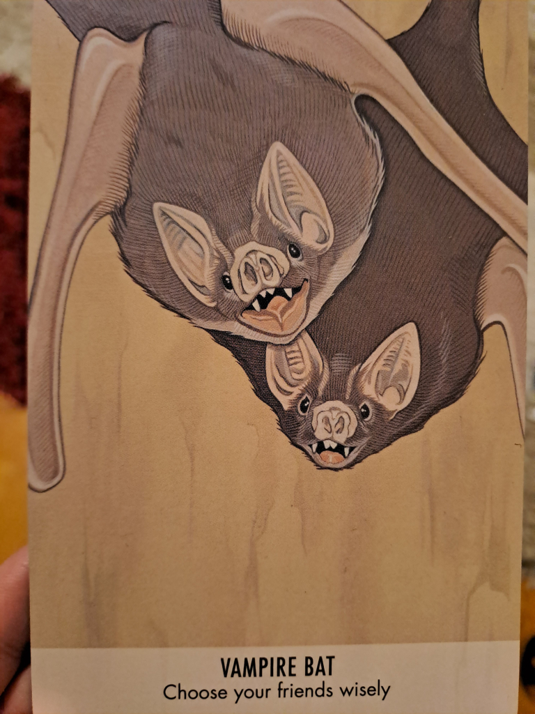 Colorful drawing of two vampire bats hanging upside down. Writing on the card says "vampire bat: choose your friends wisely"