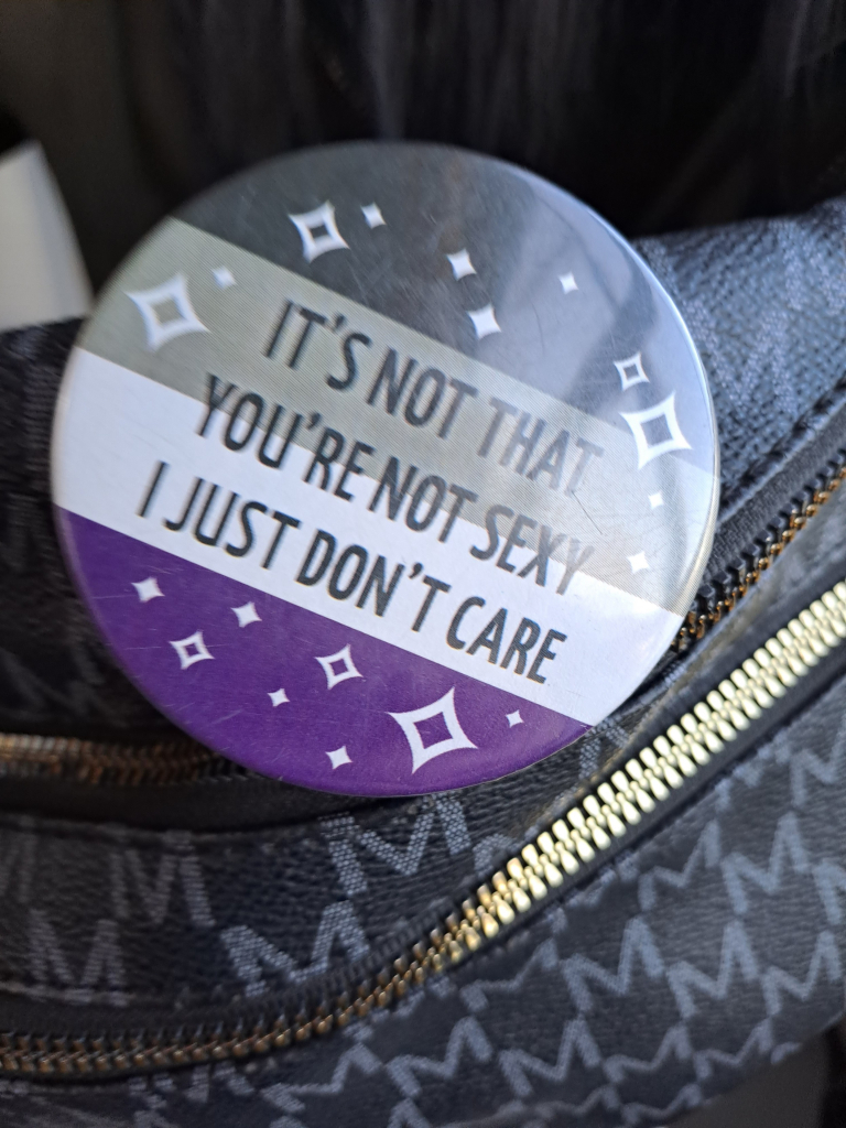 Button in asexual flag colors reading "It's not that you are not sexy I just don't care" 