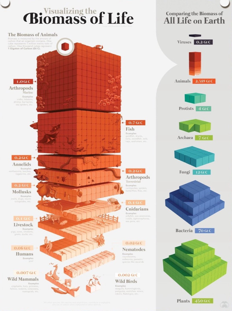 Visualizing the Biomass of Life by scientific illustrator Mark Belan

The Biomass of Animals Biomass is measured by the amount of cube represents 1 million metric tons of cacbon. 

One thousand cubes represent 1 Gigaton of Carbon (Gt C). 

Comparing the Biomass of All Life on Earth Viruses 0.2 Gt C 1.0 GLe Arthropods Marine Examples crabs, lobsters: shrimp, barnacles, sea spiders, etc Animals 2.589 Gt C Protists 4 GIC 0.7 GE C Fish Examples goldish, sharks, tuna, swordssh, ceis rays, seahorses, etc. Archaea 7 GIC 0.2 Gt C Annelids Examples ragworms, etc 0.2 GIC Mollusks Examples snails, slugs, squid. 0940000057030 0.1 GLE Livestock Examples pigs, cows, chickens, gosts, ducks, etc 0.06 GI C Humans Examples 0.007 Gt C Wild Mammals Examples elephants, bats, primates. felines, rodents, cetaceans. morsupials, etc. 0.2 Gt C Arthropods Terrestrial Examples centipedes, spiders. butterflies, fies, esc 0.1 GEC Cnidarians Examples Fungi 12 GIC Bacteria 70 GI C 0.02 GIC Nematodes Examples 0.002 GI C Wild Birds Examples seagulls, hunmingbirds. peoguins, ostriches wrons. robins, tiamingos, etc Plants 450 GLe