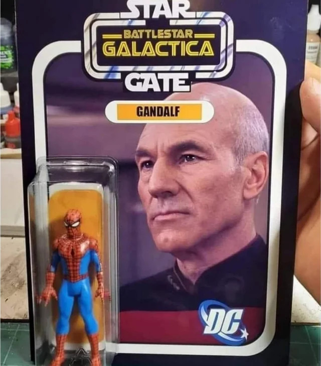 Fake toy of Spider-Man. the packaging has a photo of jean luc picard. It says: Star Gate (in star wars font) battlestar galactica: Gandalf. (DC logo in bottom right)