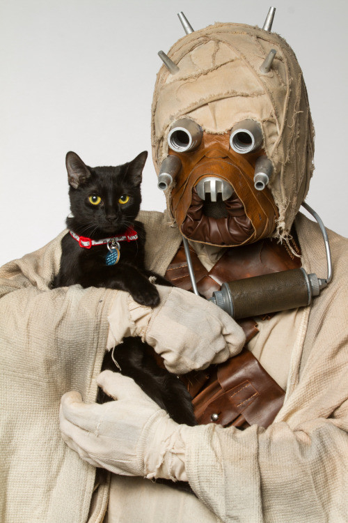 Star Wars sand person holding an adorable black cat with bright yellow eyes