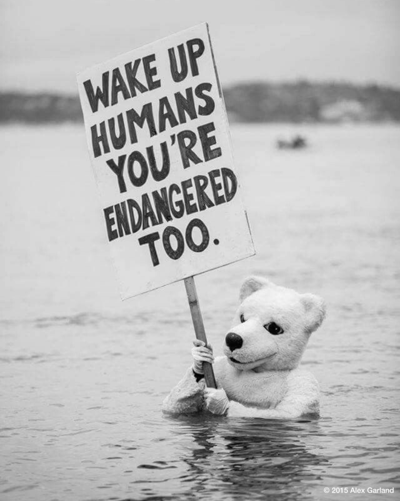 Picture. Someone dressed as a polar bear in the sea holds a sign: wake up men, you are in danger too.