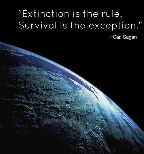 Partial image of the earth. There is the phrase by Carl Sagan: Extinction is the rule. Survival is the exception.