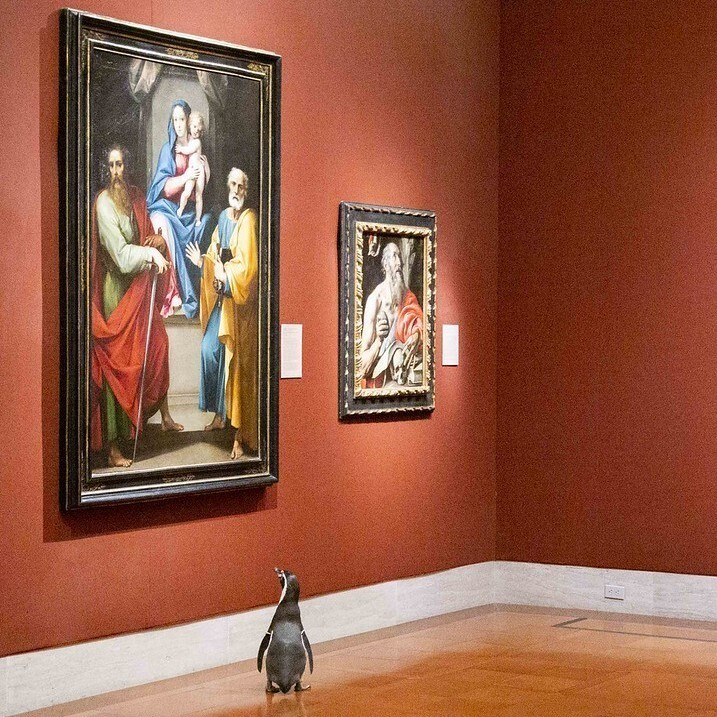 a penguin looking up at a painting in a gallery