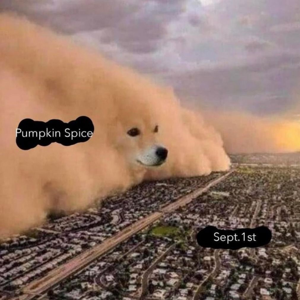 sandstorm with a dogs face approaching a suburb -- sandstorm label: pumpkin spice. Suburb label: Sept. 1st