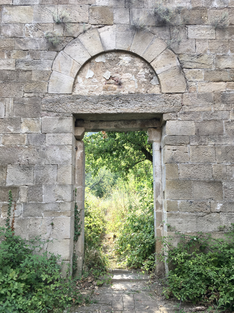 Entrance to an ancient abbey dating from around 1100. The photo was taken inside the monument towards the outside. Outside the door a thick vegetation of laurel trees, shrubs and with a young oak tree timidly appearing in the doorway.