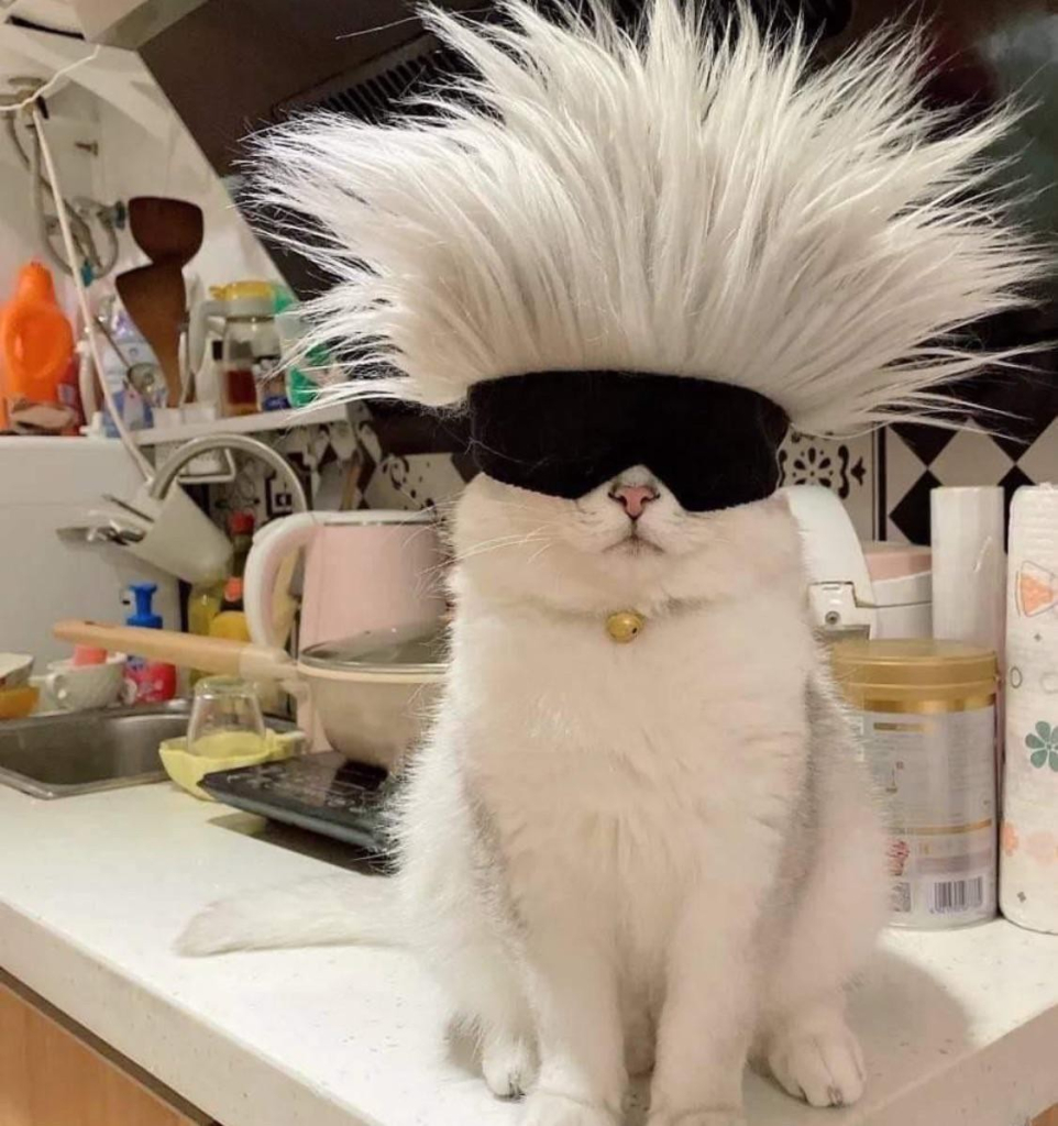 a white cat sitting on a desk with crazy upright hair and wraparound sunglasses