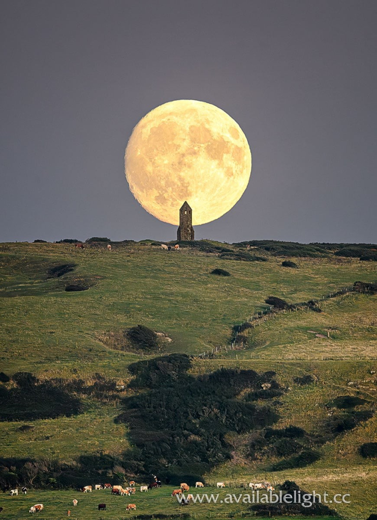 A large moon dominating the scene. A rocket like structure silhouetted in front of it. It stands on a hillside with a few cows around.