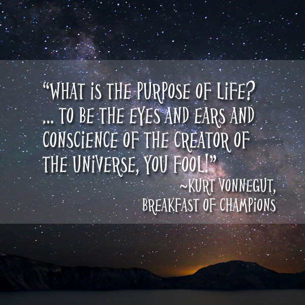 starry sky with this quote:
"What is the purpose of life? ... To be the eyes and ears and conscience of the creator of the universe, you fool!" ~Kurt Vonnegut, Breakfast of Champions