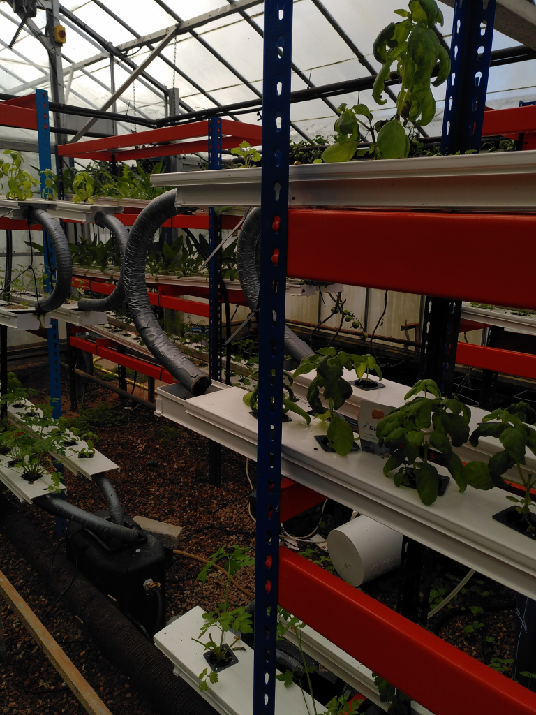 Plastic tubes stacked like shelves on racks in the greenhouse, with an individual herb plant growing in evenly spaced cutouts in each. Curved pipes connect the tubes, clearly handmade because they're wrapped in Duck tape to maintain the shape. Behind the racks of shelving, not particularly clearly visible, is the reservoir tank and the pump that pumps nutrient-enriched water to the top tube from which it cascades down