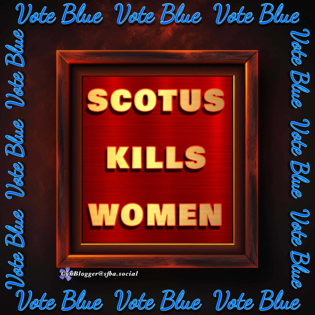 Meme: Black background. Dark red frame with gold text, “SCOTUS KILLS WOMEN”  Blue script around the frame on four sides, “VOTE BLUE”