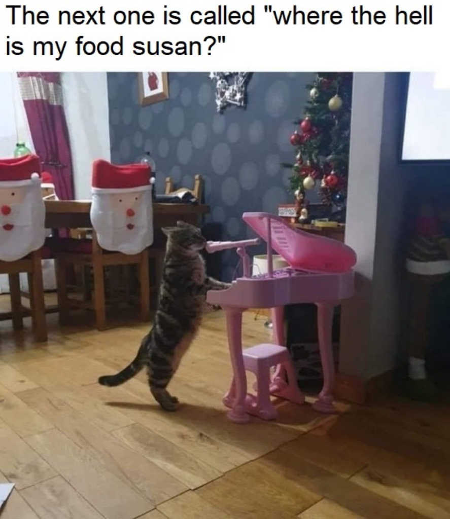 cat standing at toy piano with mouth next to microphone. caption: the next one is called "where the hell is my food susan?"