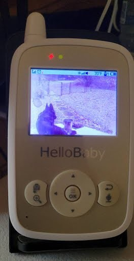 A white baby monitor control pad with a tiny screen, showing a grainy imagine of a German Shepherd lying on a porch in a fenced yard.  Indicator lights are flickering above the screen. 