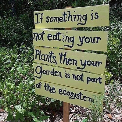 Image shows a handmade wooden sign in a garden that reads: “If something is not eating your plants, then your garden is not part of the ecosystem.”