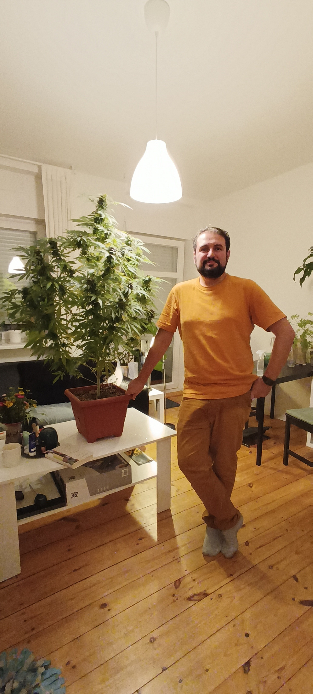 I and the plant in my living room