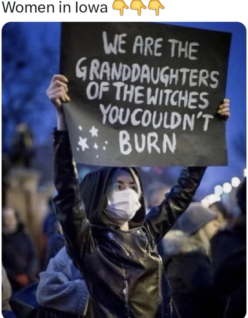 Top caption points down and reads WOMEN IN IOWA.
Below, the caption is a masked woman, dressed in black with hoodie, and a mask, holding a black sign with white lettering that reads, WE ARE THE GRANDDAUGHTERS OF THE WITCHES YOU COULDN'T"T BURN