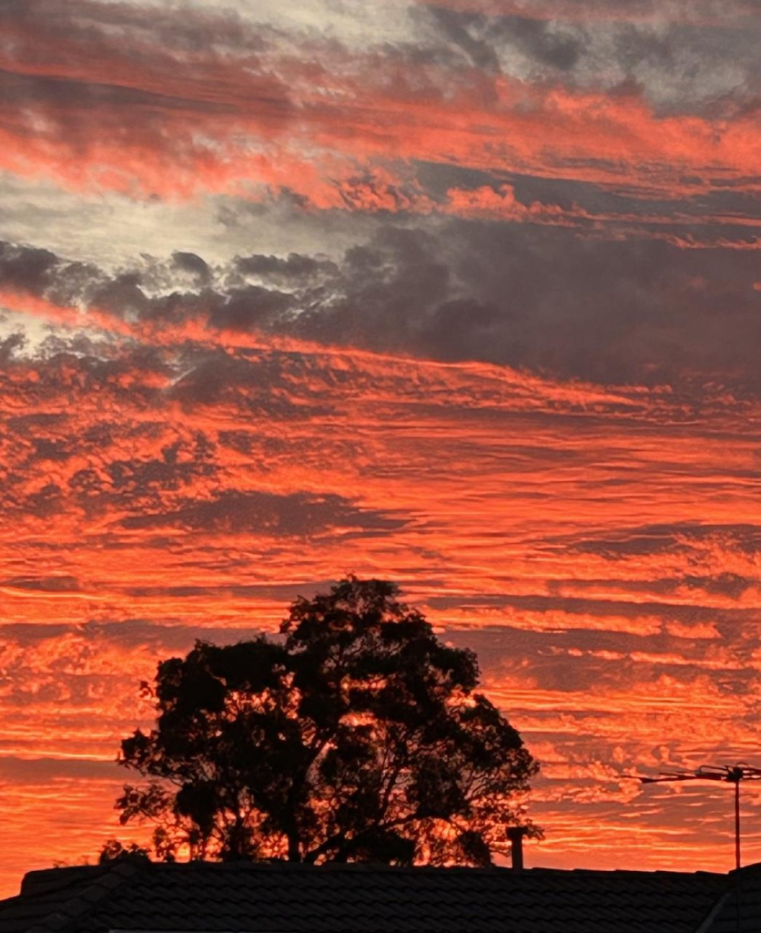   Vivid red & orange clouds with dark clouds behind - my sunset tonight & the silhouette of my favourite eucalyptus tree at the end of my street.  