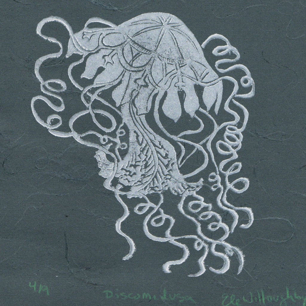 My linocut print in white ink on 6” x 8” Japanese “teal unryu” paper (more navy blue than teal) with visible fibres of a Discomedusa jellyfish. The print is numbered, titled and signed with a green coloured pencil. 