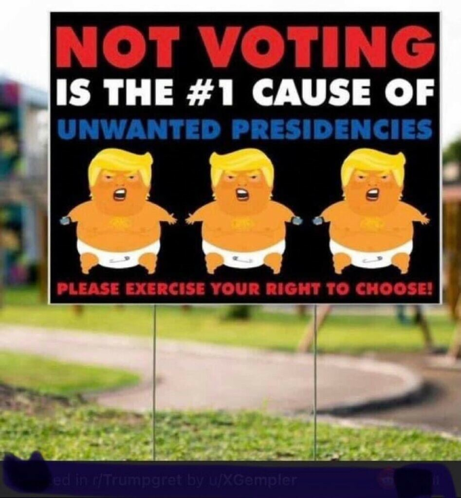 Picture of Don-old tRump in diapers with the statement "Not voting is the #1 cause of unwanted presidencies"