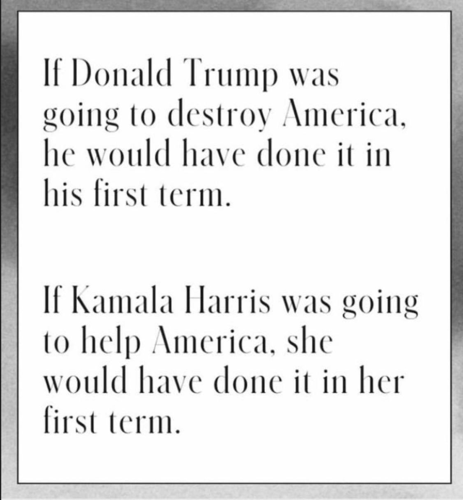 Screenshot of a comment posted by  LozzaFox on his timeline on X
If Donald Trump was going to destroy America, he would have done it in his first term.
If Kamala Harris was going to help America , she would have done it in her first term.