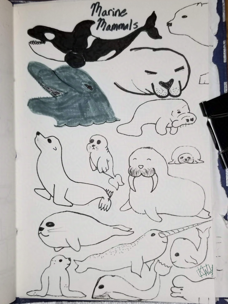 Text says "Marine Mammals", page is covered in ink drawing of an orca, a polar bear, many seals, a dolphin, a dugong, a narwhal, a grey whale, a blue whale, & a beluga.