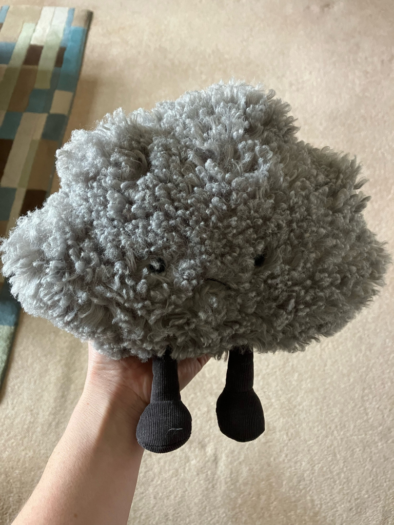 Photo of a plushy grey cloud with a little sad face, held in a hand - the hand is obscured but some wrist is showing.
Beige (bleh) carpet and the edge of a multi-coloured rug in the background.