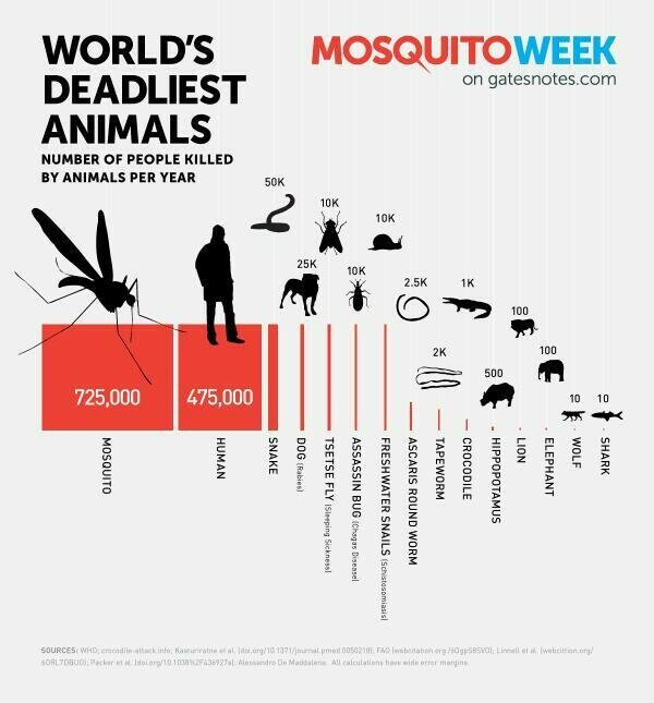 This chart shows that mosquitoes are responsible for more than 700,000 deaths a year whereas sharks kill about 10 people a year.