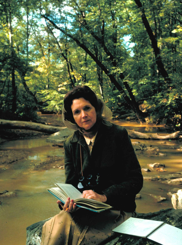 A woman reading a book by a spring.