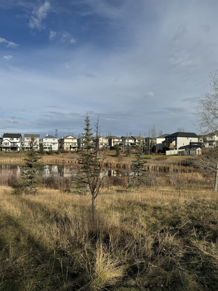 A row of houses in the distance lie past a lake.