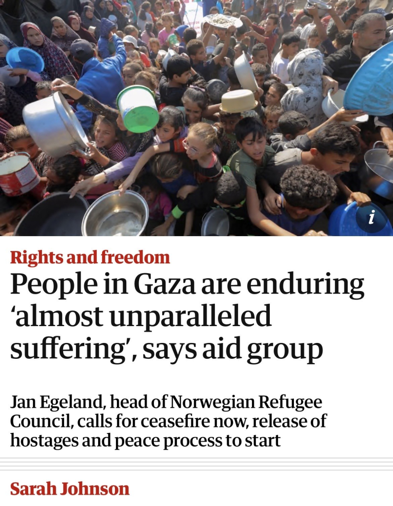 Screenshot of top of this articlei
Rights and freedom
People in Gaza are enduring
'almost unparalleled
suffering', says aid group
Jan Egeland, head of Norwegian Refugee
Council, calls for ceasefire now, release of
hostages and peace process to start
Sarah Johnson