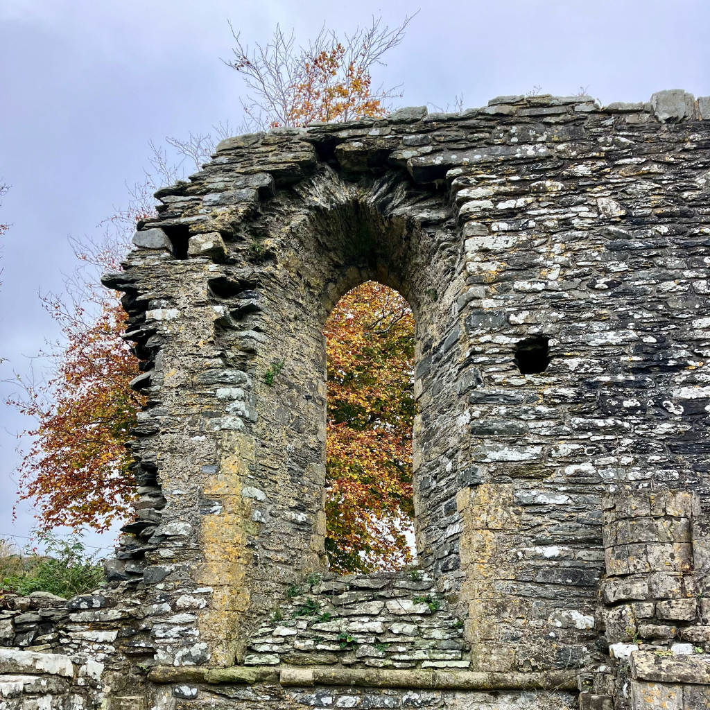 Photo of an arched window opening in the crumbling stone wall of a ruined abbey. The wall is truncated just to the left of the window, stones jutting out like ragged teeth. On the dark grey of the stone are patches of paler, silvery grey and yellow lichens. Through the opening, and above and beyond the edges of the wall, is a view of a beech tree, its leaves now red-gold. The sky above is a flat November grey.
