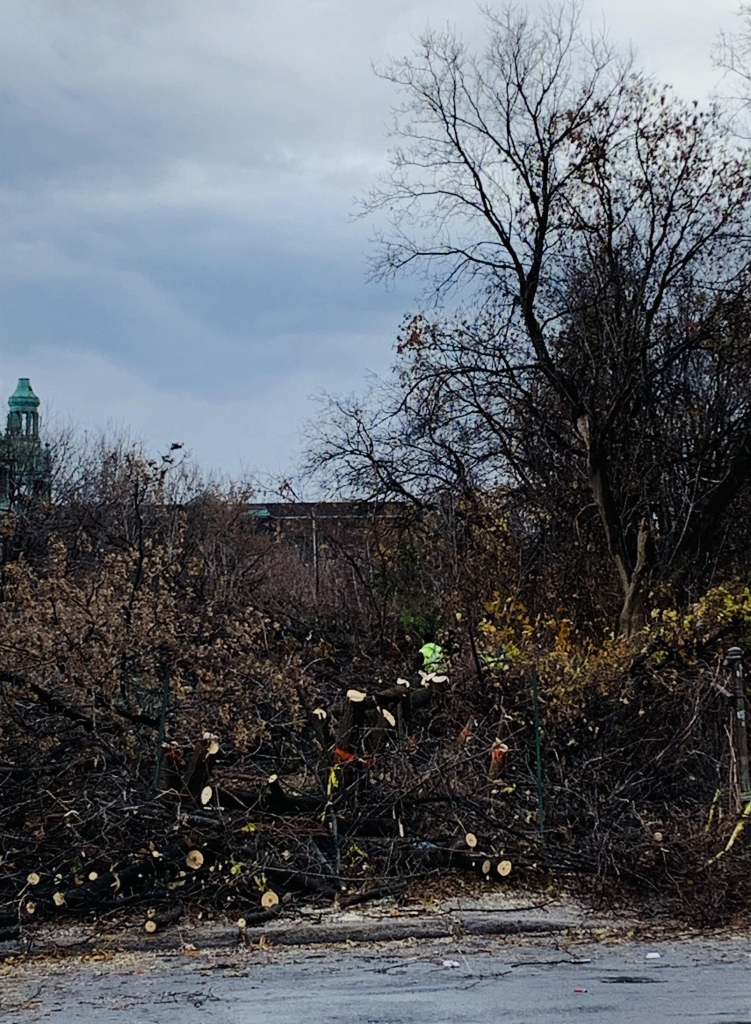 A scene depicting a barren landscape with cut tree stumps and overgrown vegetation. In the background, there is a tall building with a green dome, and a person in a bright green outfit is partially visible among the branches and debris.