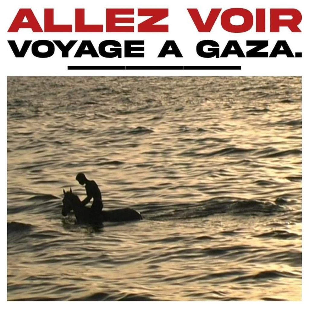 image d'une personne à cheval dans la mer

légende : allez voir "voyage à Gaza"