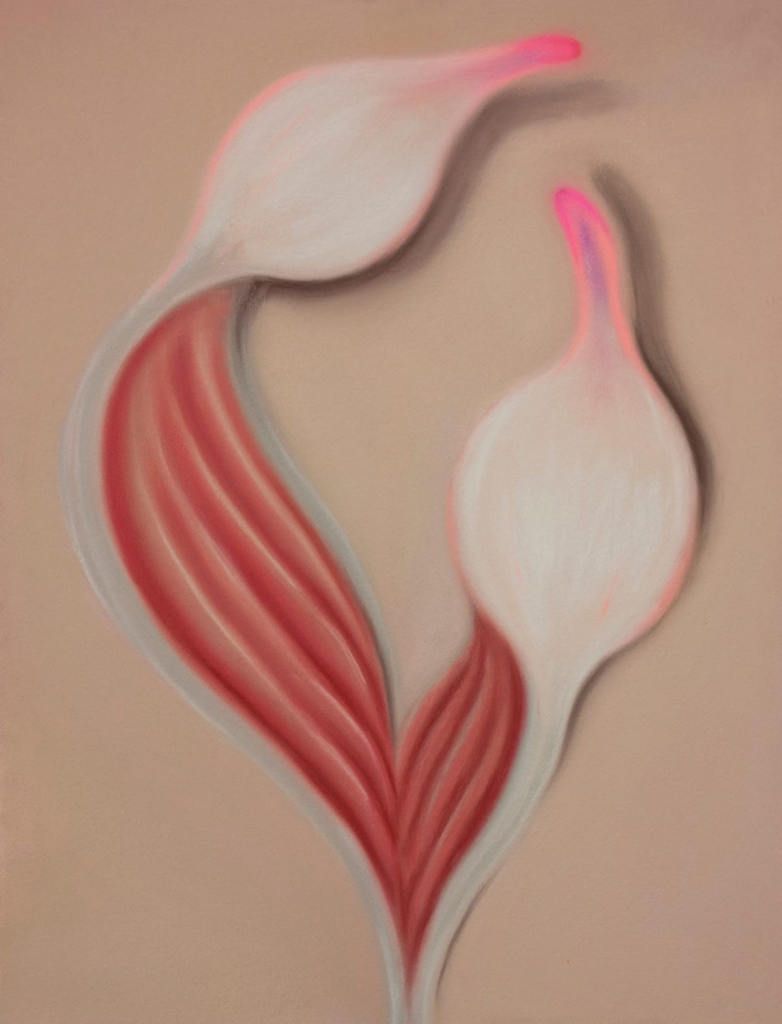 Semi-abstract painting of two pointed floral forms in white and pink lying against a soft peachy-pink background