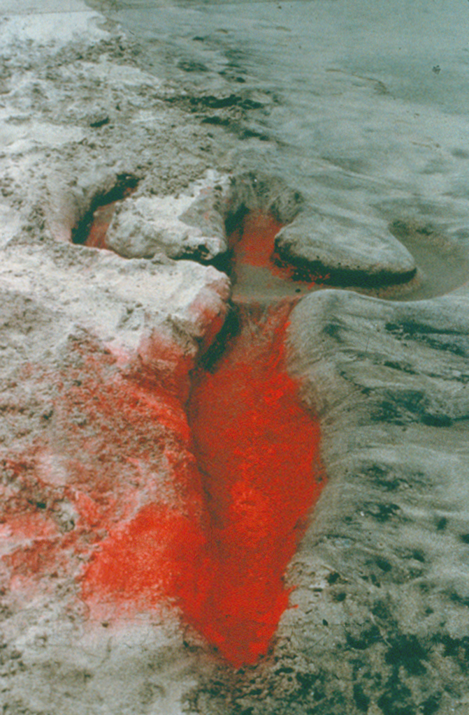 Photo of Mendieta's body's imprint left in the sand on a beach, sprinkled with red pigment