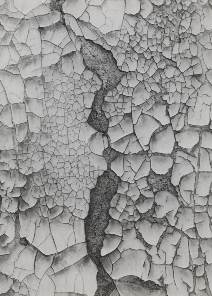 Black and white close-up photo of a wall with delicate cracks of paint