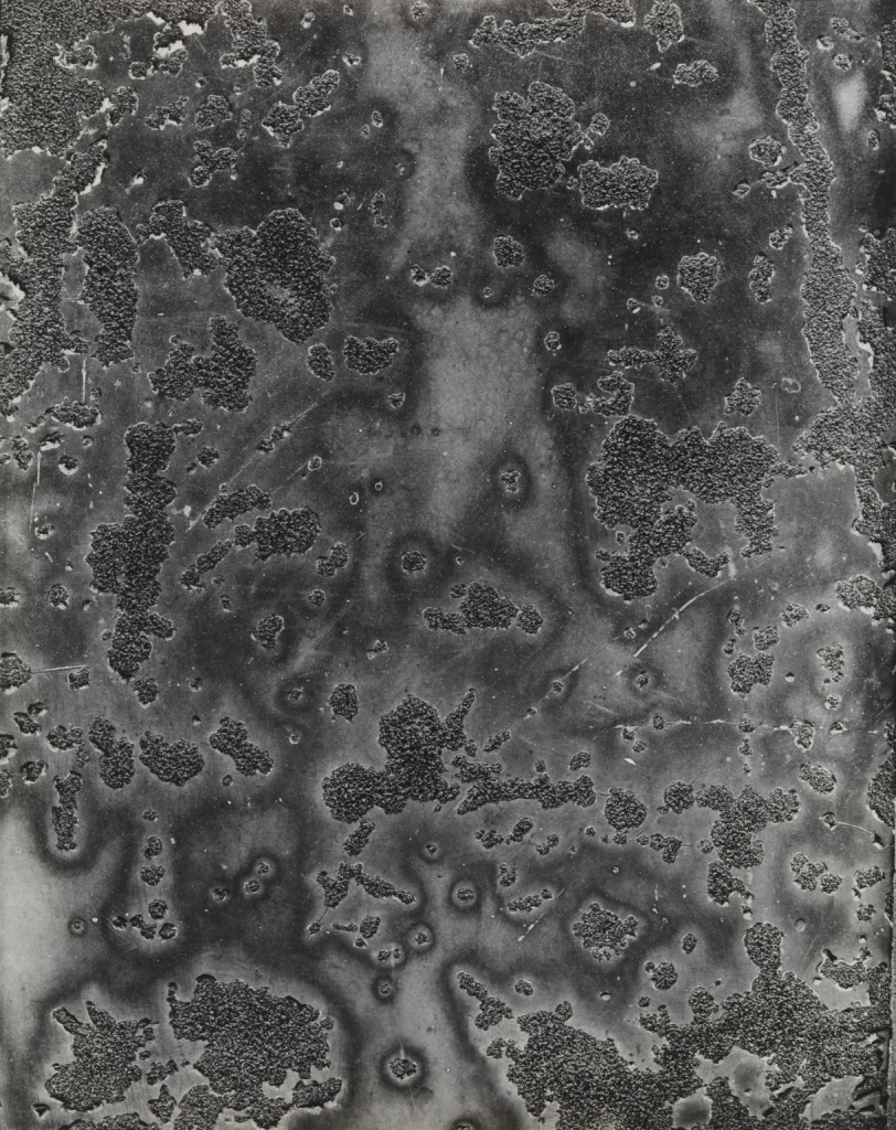 Black and white close-up photo of an abstract view of a hard surface covered with lichen