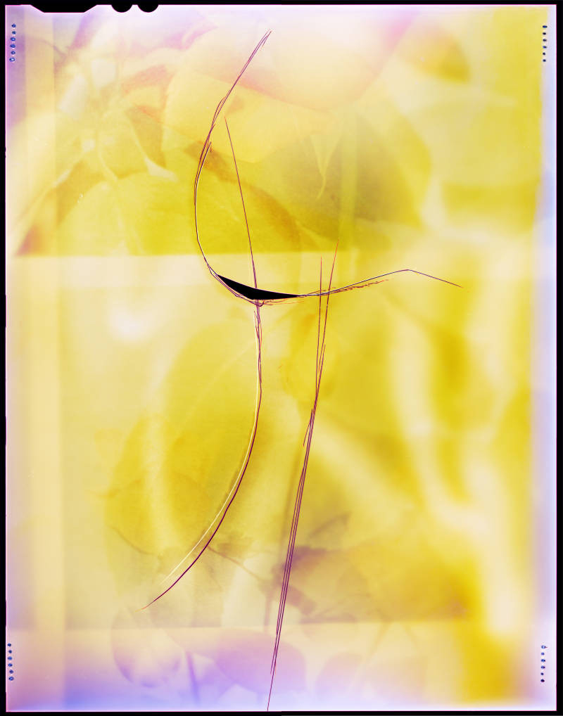 Abstract photo of a bright yellow field with blurry floral shapes and several deep scratched lines across the center