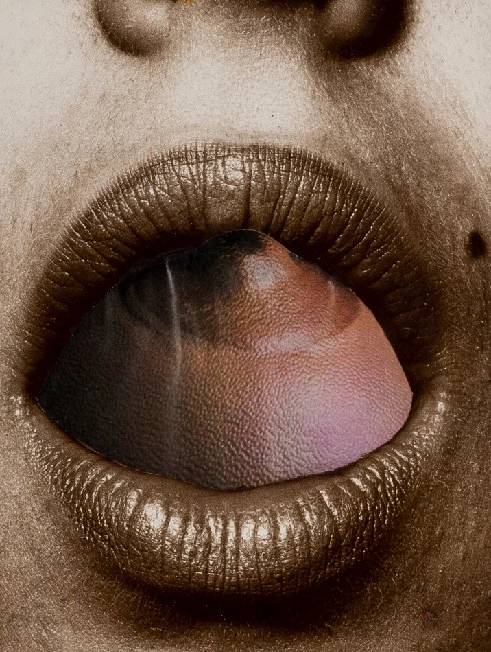 Collage of a close-up of an open mouth, inside is a cutout closeup of a nipple