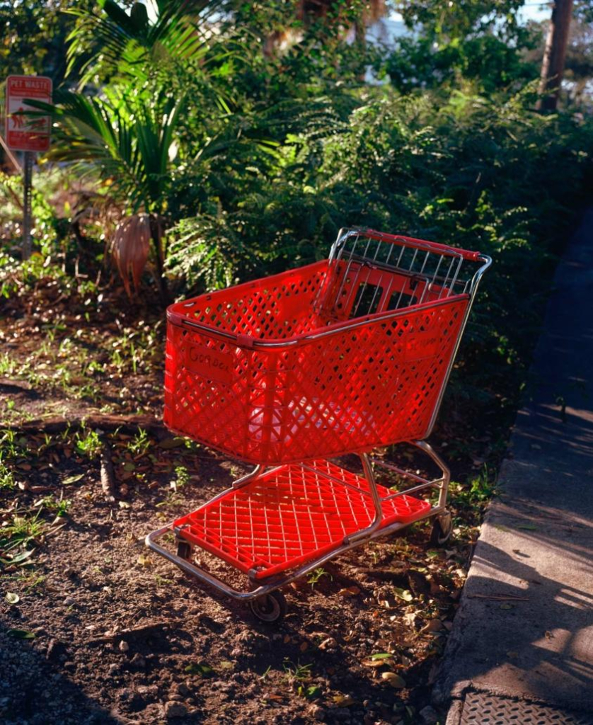 Photo of a bright red shopping cart sitting on plot of dirt with green foliage in the background