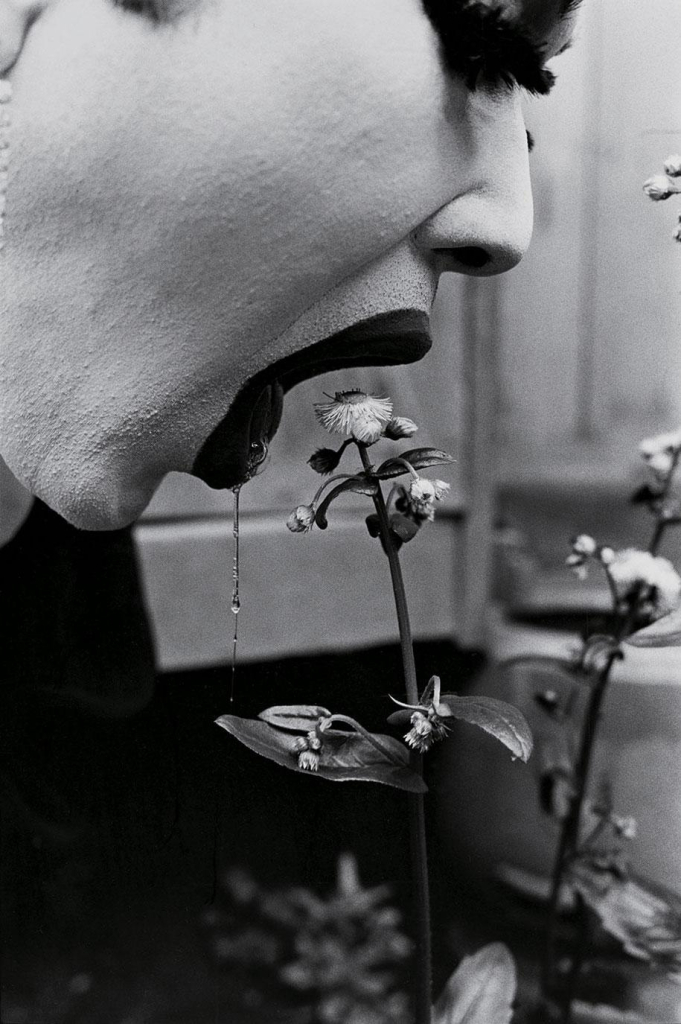 Black and white photo of a figure in heavy makeup seen in closeup and in profile, opening their mouth over a small flower