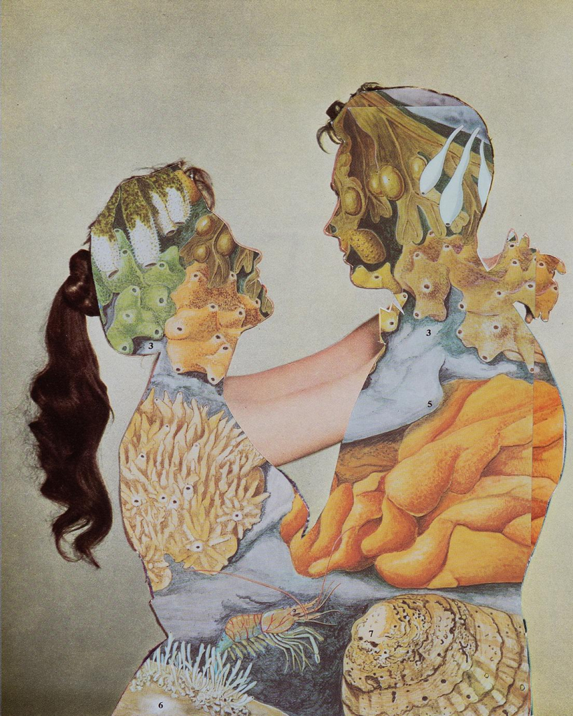 Collage of a man and woman embracing in profile, their bodies filled in with illustrations of underwater creatures and corals